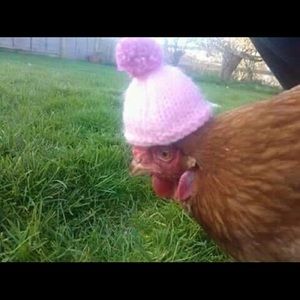 Meet your Posher, Saul